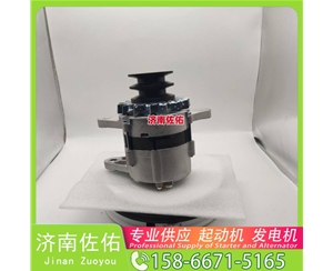 广州4280005645起动机20409228发电机 斗山 DB/DL WP4.6 锡柴 CA4DF 斗山｜DX215｜DB58 卡特 336D2 C13 玉柴 YCK05 潍柴 WP2.3 启动机